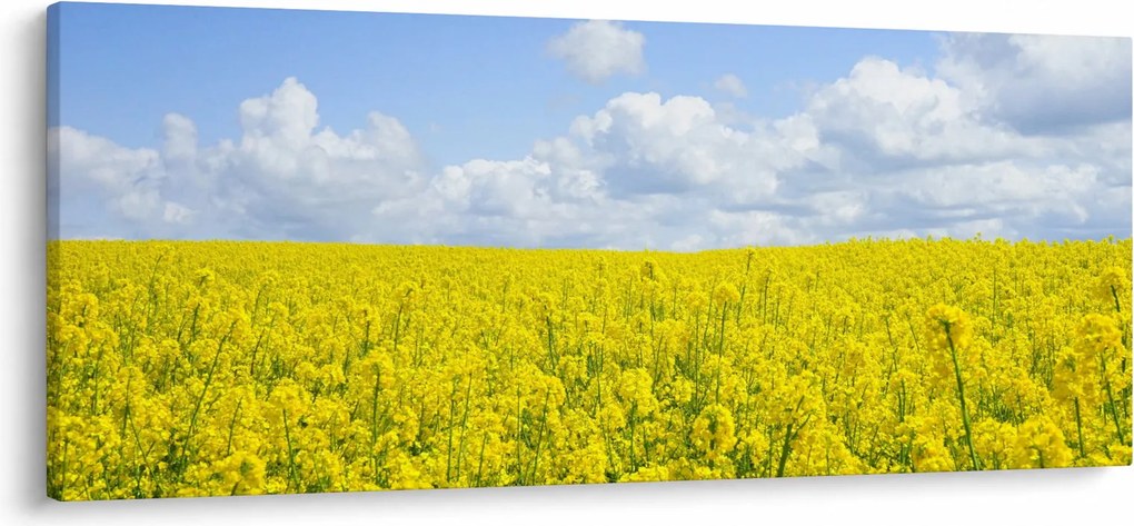 Tablou - Câmp galben (120x50 cm)