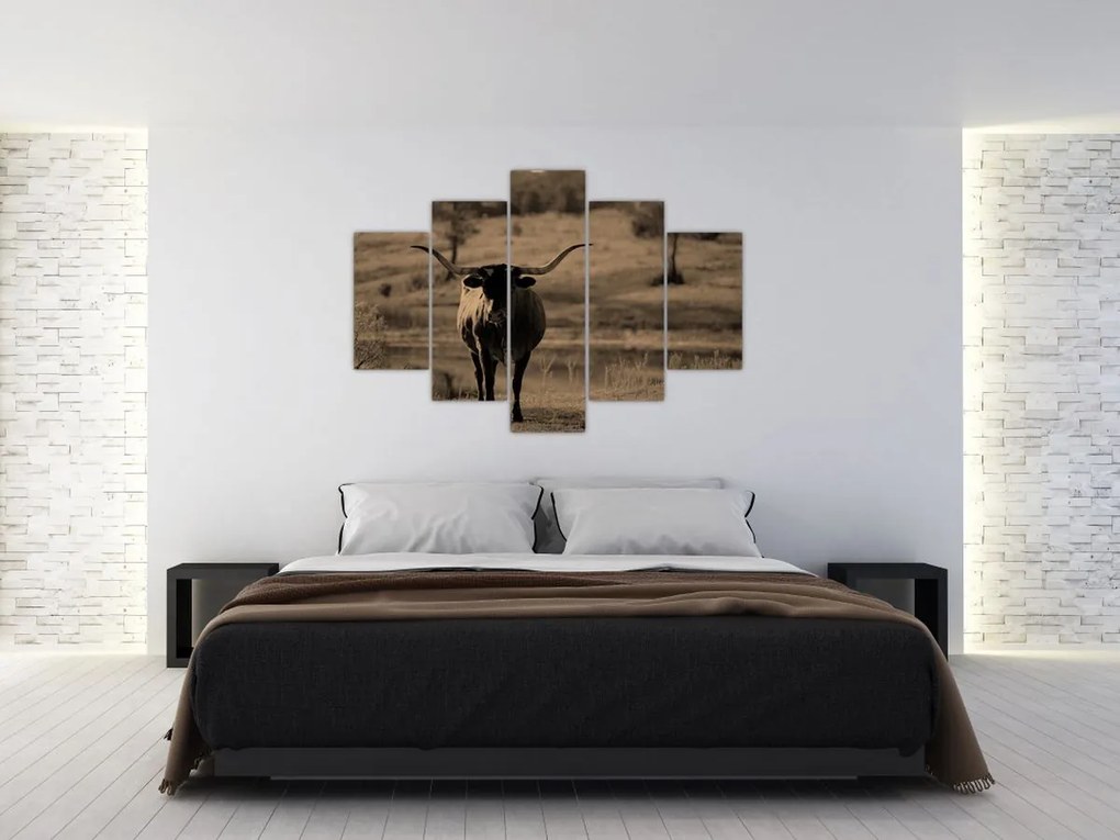 Tablou - Vacă din Texas (150x105 cm)
