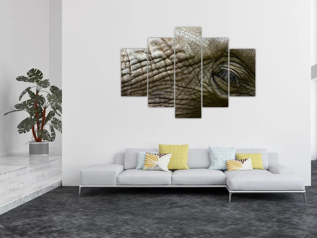 Tablou - Prim-planul ochiului de elefant vechi (150x105 cm)