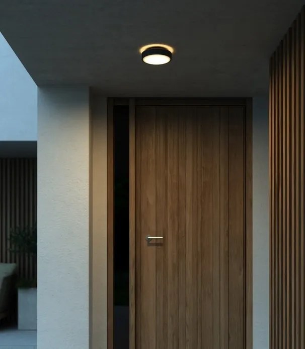 Aplica de perete / tavan exterior IP54 Oliver Black