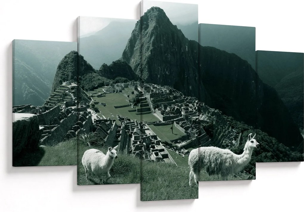 Tablou - Lamas la Machu Picchu în Peru (150x105 cm)