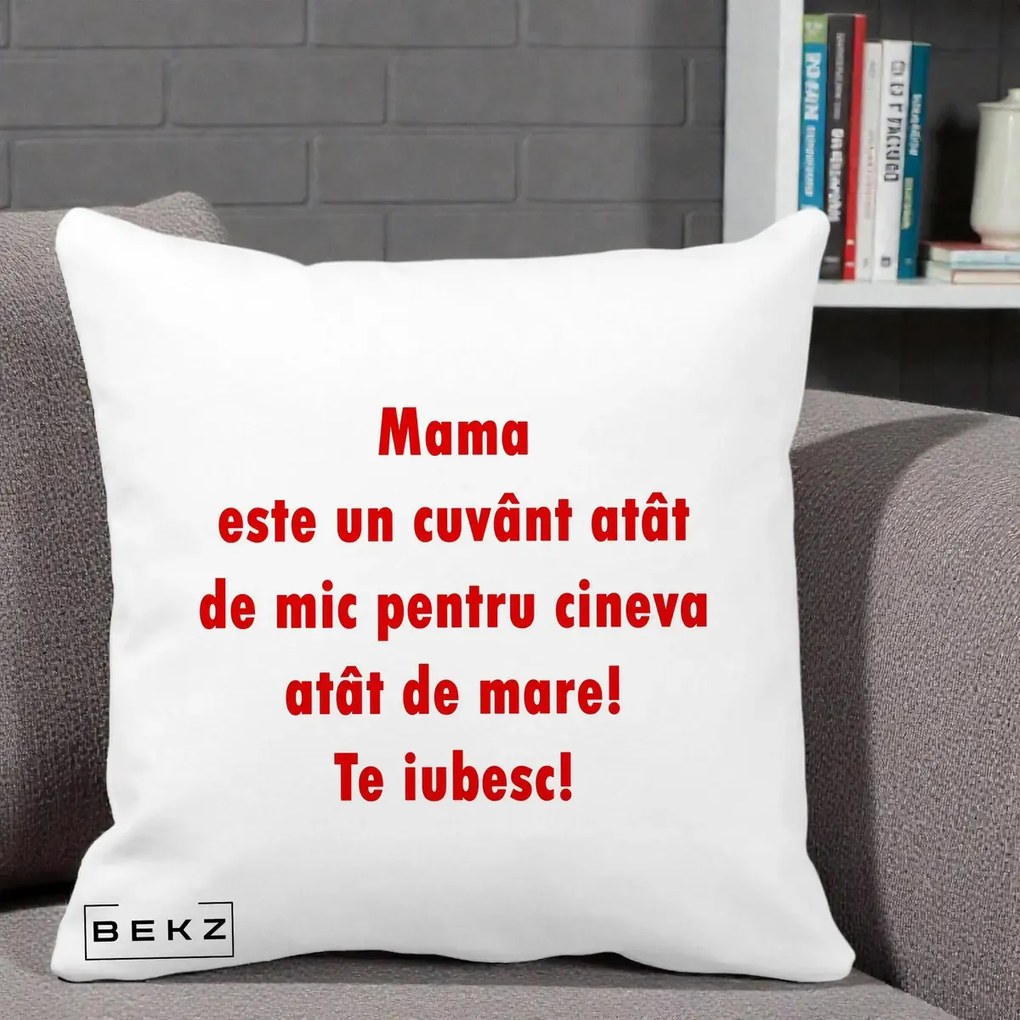 Cadou pentru Mama - Perna Personalizata Mama Cuvant Mic, 40x40 cm, Alba Mata, Husa Detasabila, Perna Inclusa, BEKZ®