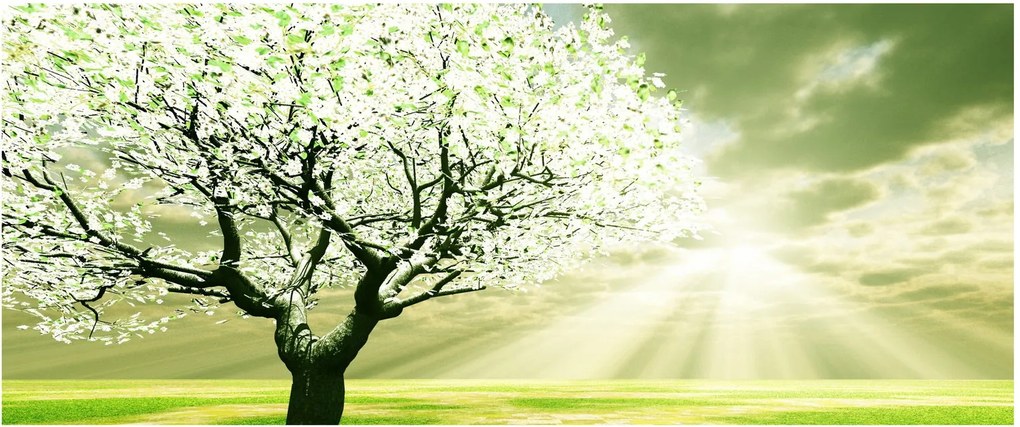 Tablou cu copaci pe luncă (120x50 cm)