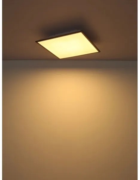 Globo 416080D2 - Plafonieră LED DORO LED/24W/230V