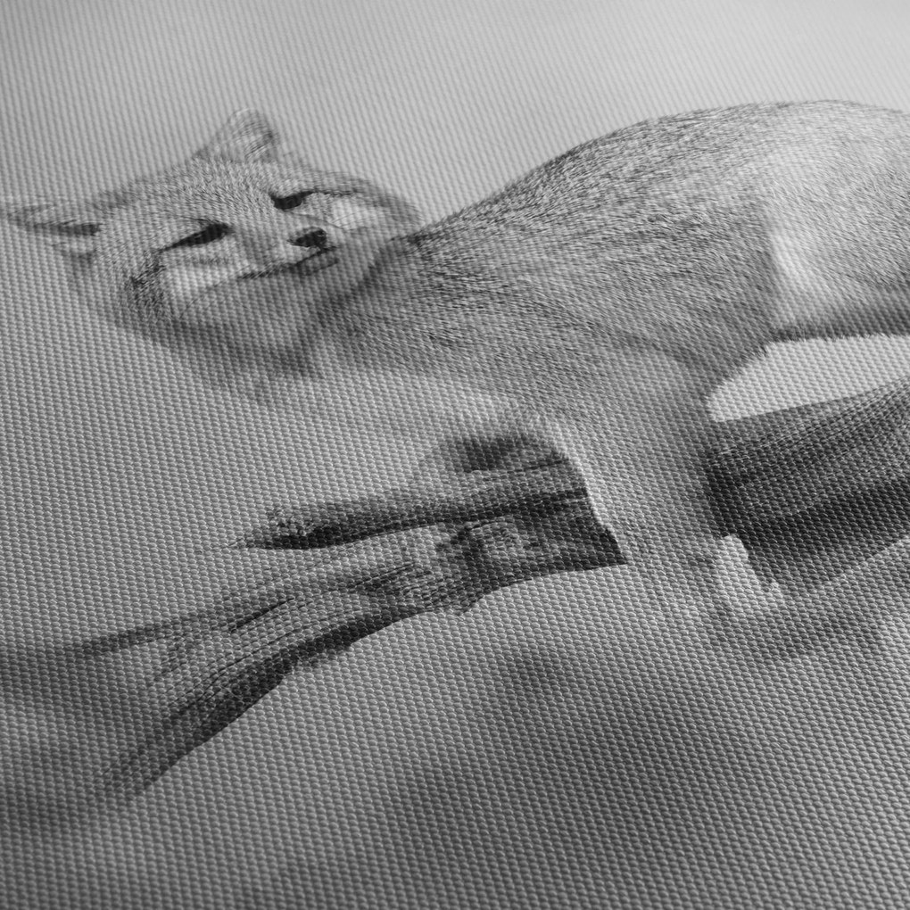 Tablou - Vulpe gri (70x50 cm)
