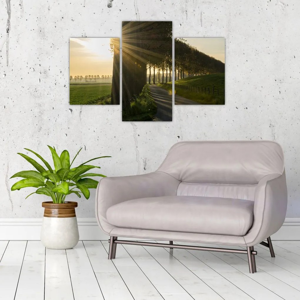 Tablou cu alee (90x60 cm)