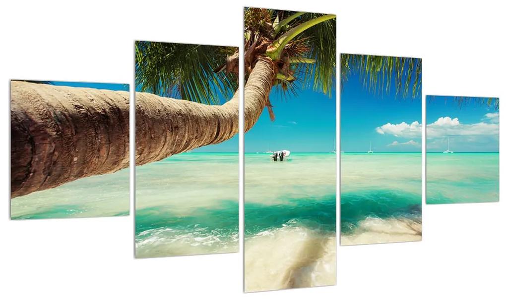 Tablou cu marea curată cu palmier (125x70 cm), în 40 de alte dimensiuni noi