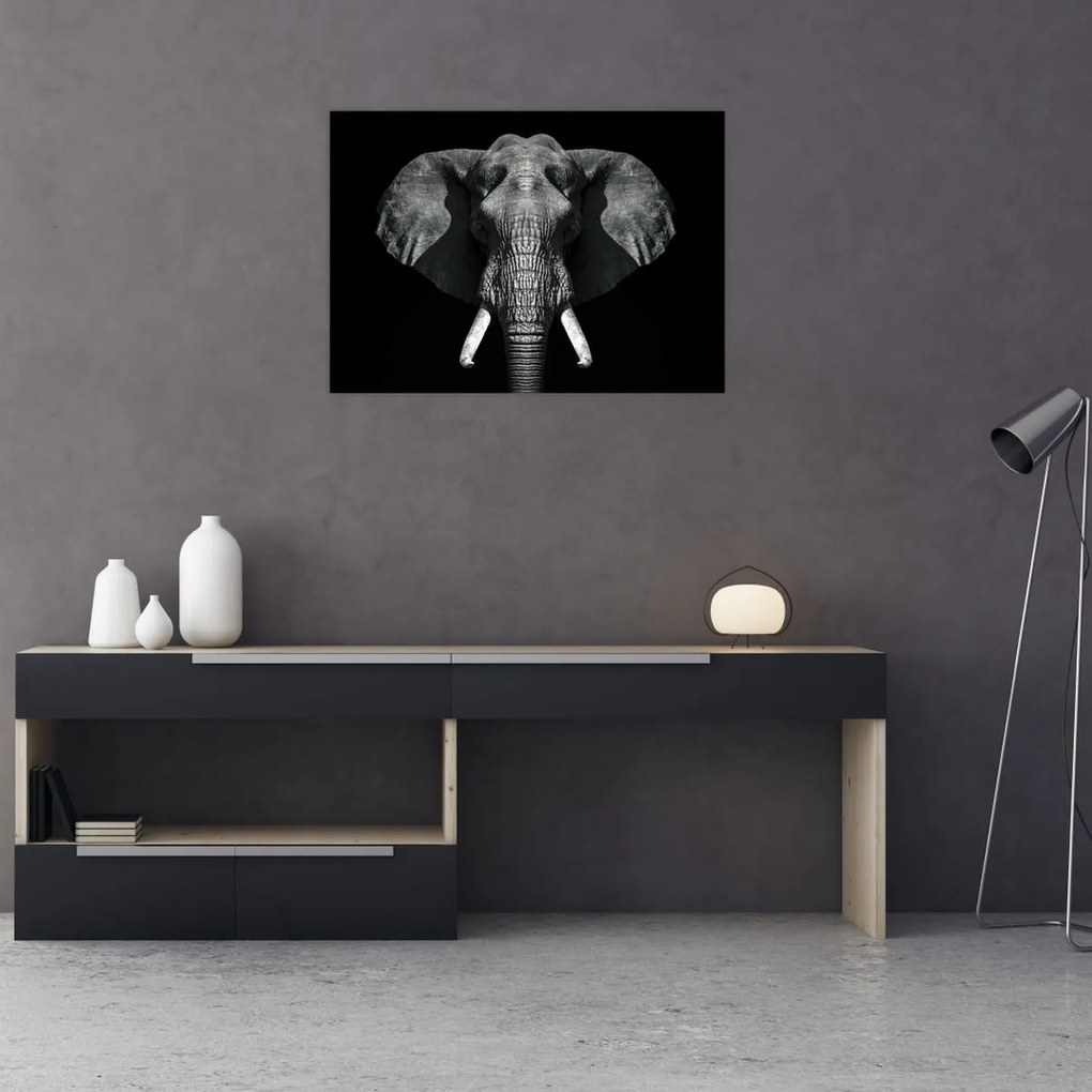 Tablou pe sticlă - Elefant pe fundal negru (70x50 cm)