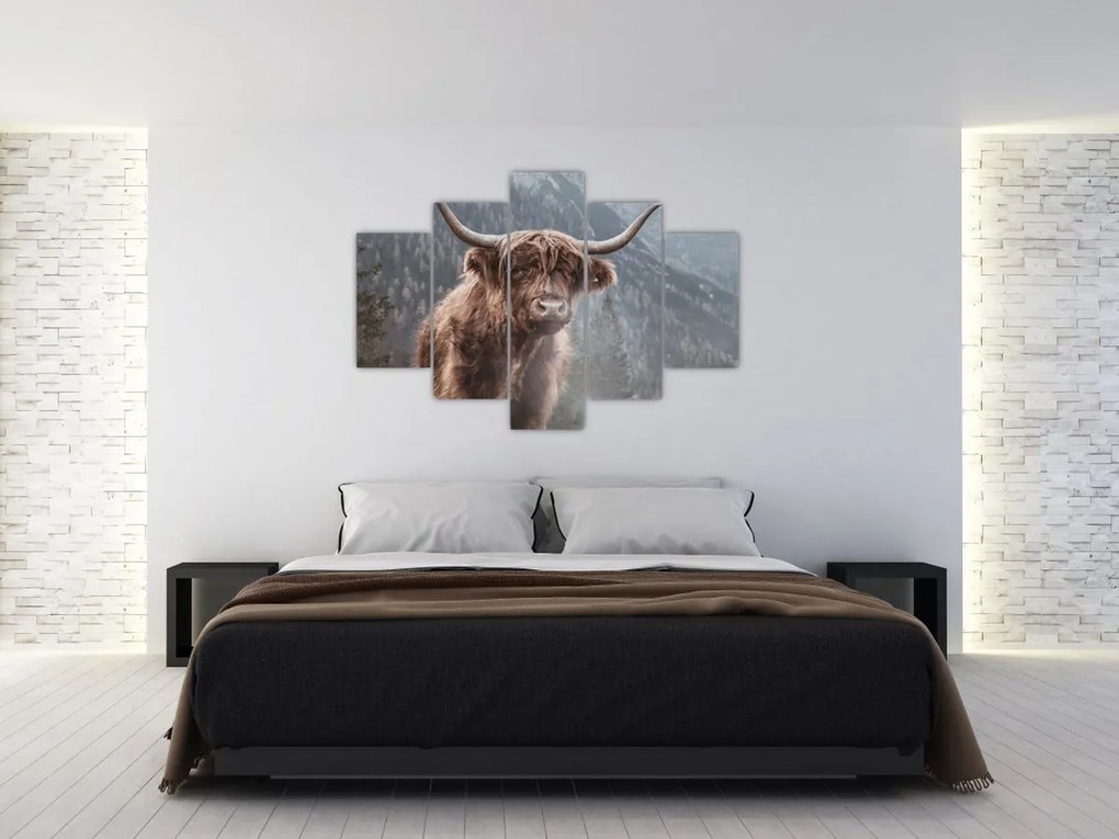 Tablou - Vaca Highlander (150x105 cm)