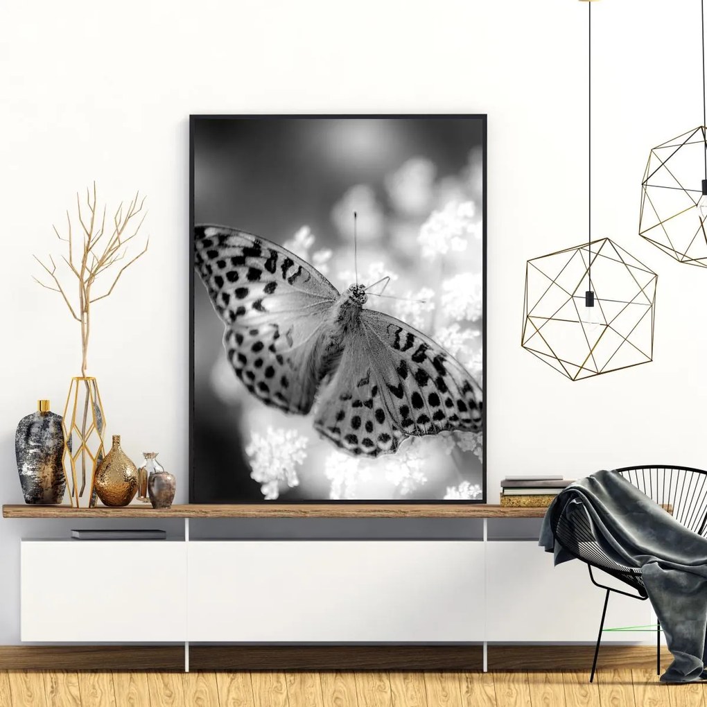 Poster - Fluture (A4)