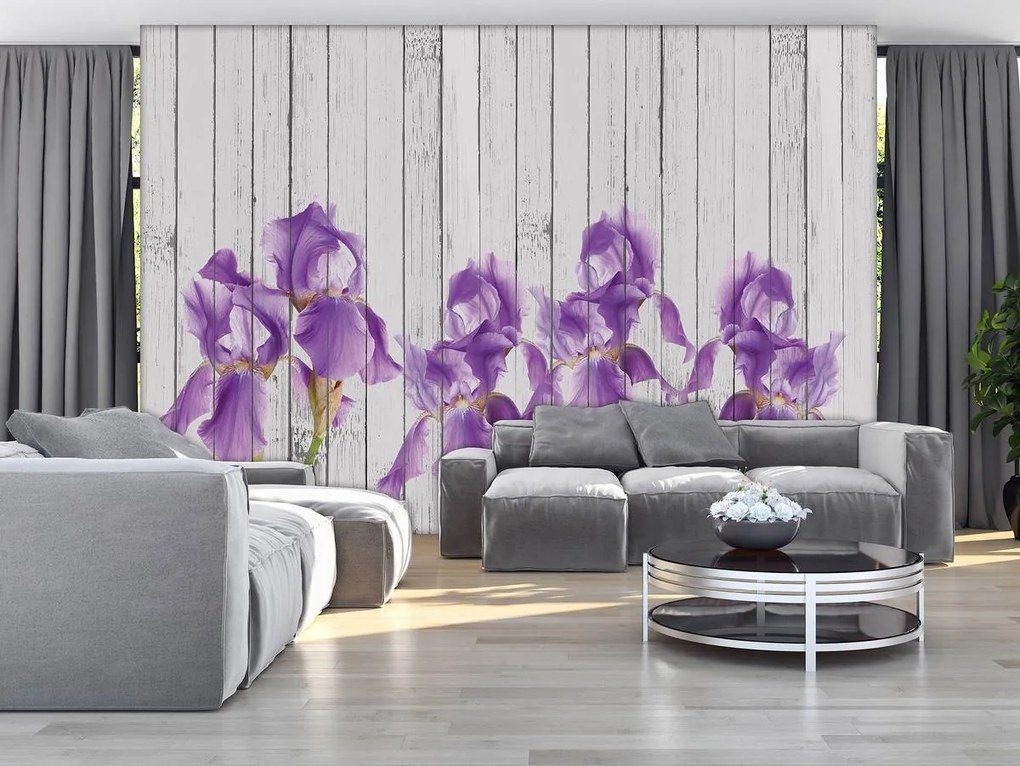 Fototapet - Iris pe scănduri de lemn (152,5x104 cm)