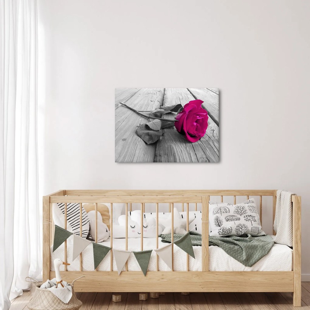 Tablou - Trandafir roz (70x50 cm)