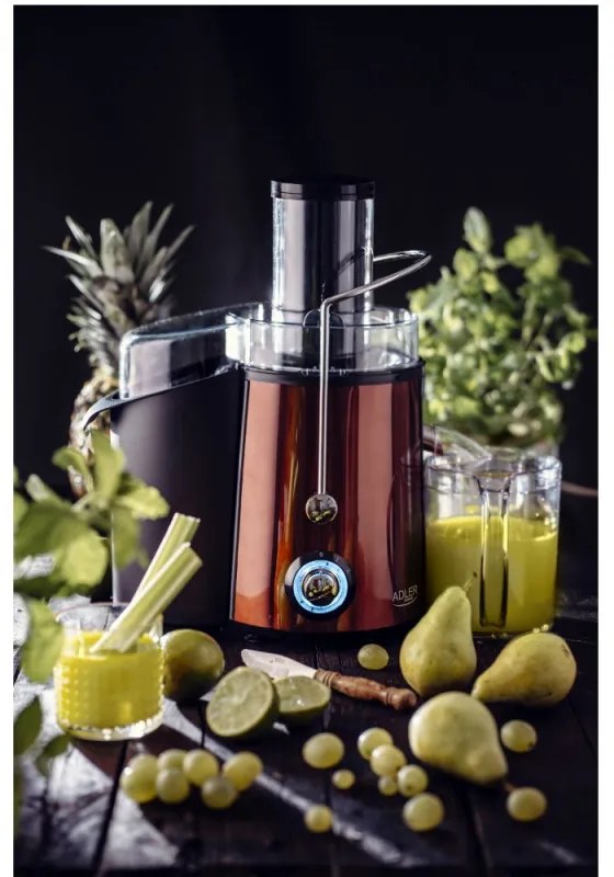 Storcator de fucte si legume Adler AD 4129, 1000/2000W, 2 viteze, 1L, Sistem anti-picurare, Negru/Bronz
