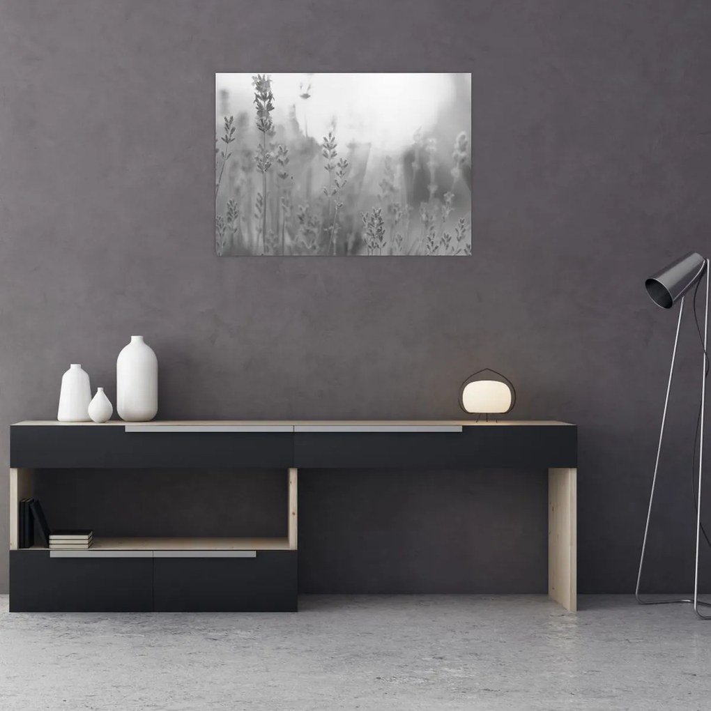 Tablou - Lavanda (70x50 cm)