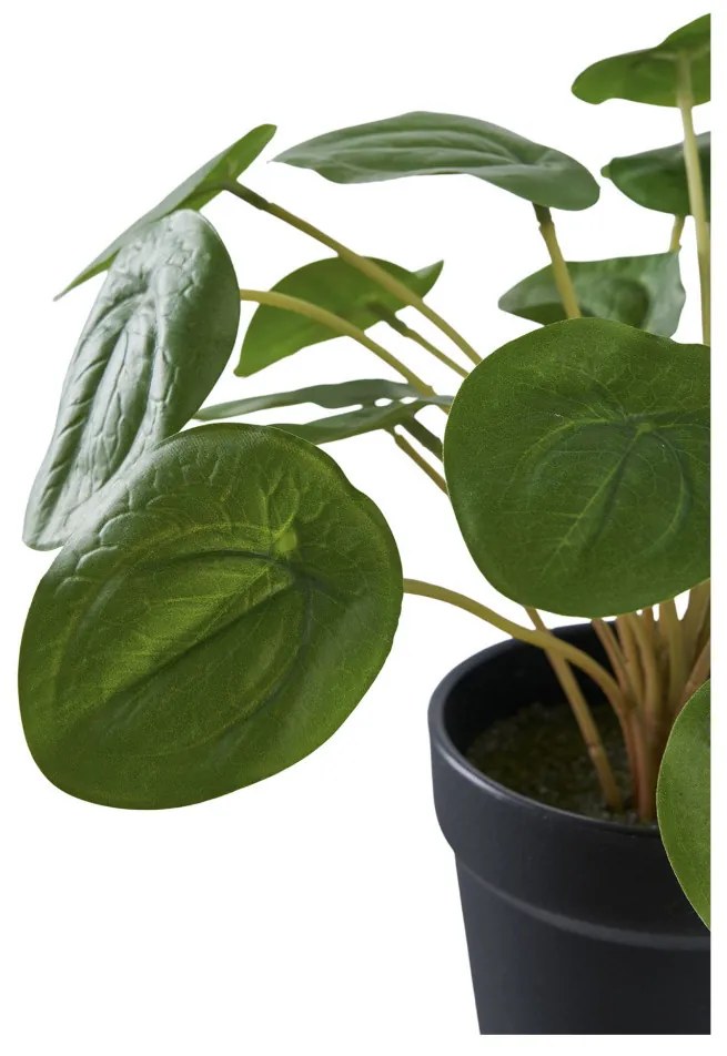 Pilea műnövény, zöld 28 cm
