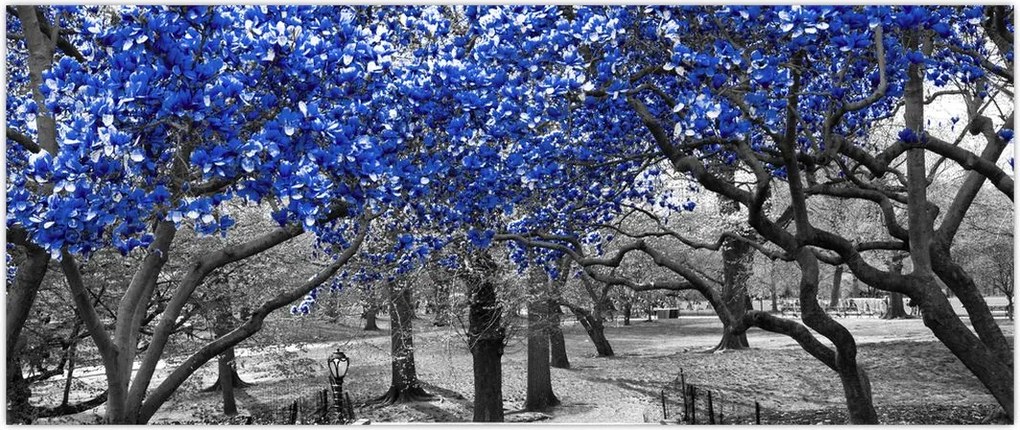 Tablou - Copaci albaștri Central Park, New York (120x50 cm)