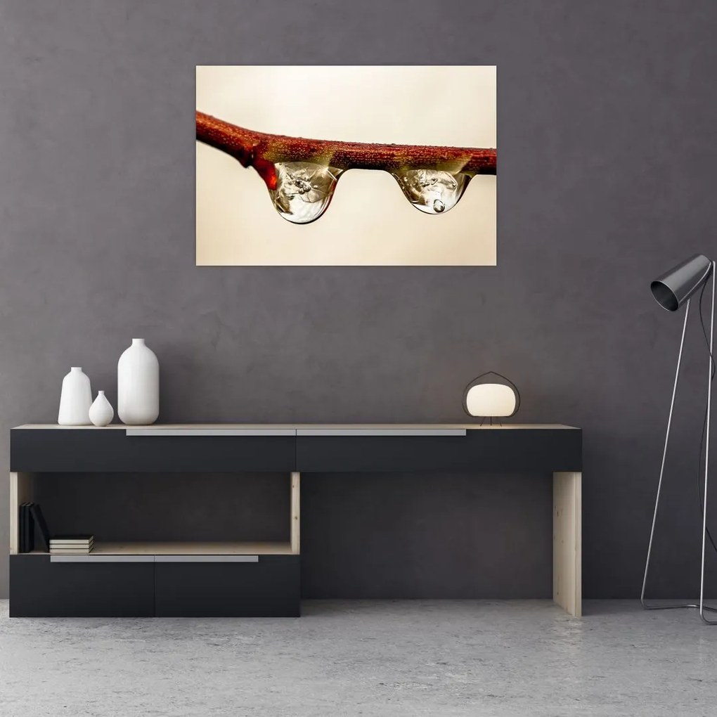 Tablou cu picături de apă pe creangă (90x60 cm)