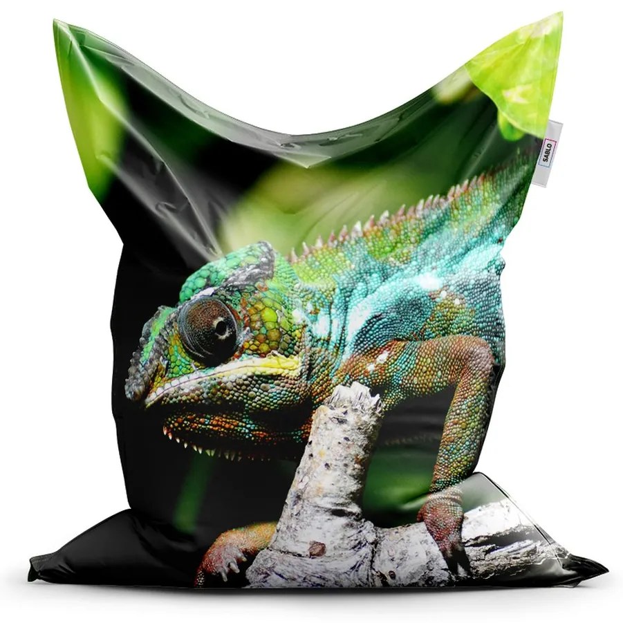 Sac de șezut Classic cameleon - pentru copii, verde