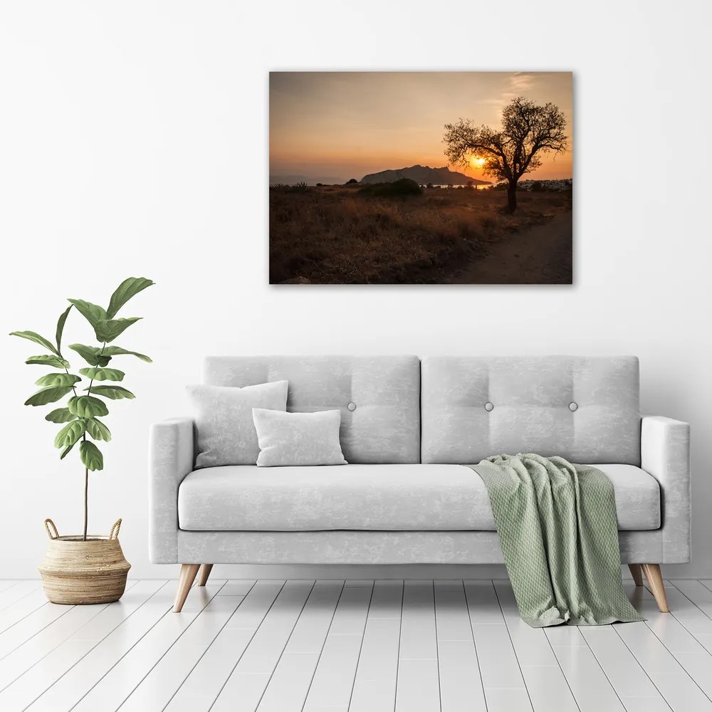Imprimare tablou canvas Apus de soare