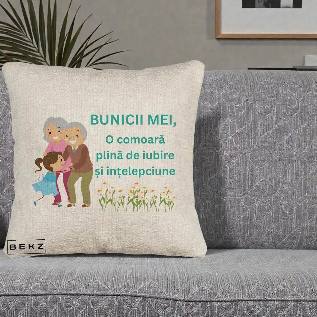 Cadou pentru Bunici - Perna Personalizata Bunicii Mei Comoara Iubire Intelepciune Nepoata, 40x40 cm, Bej Canapea, Husa Detasabila, Perna Inclusa, BEKZ®