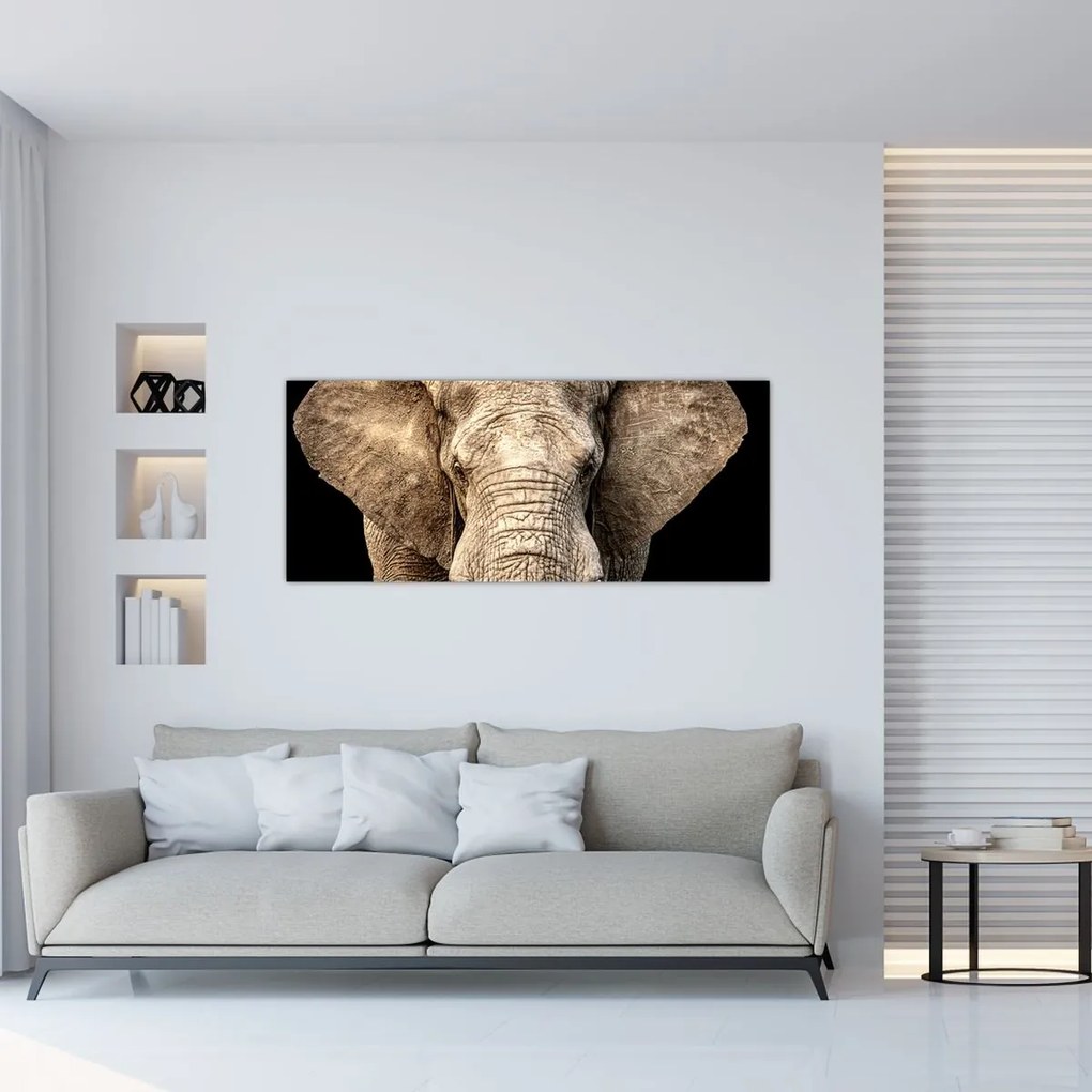 Tablou - Elefant african (120x50 cm)