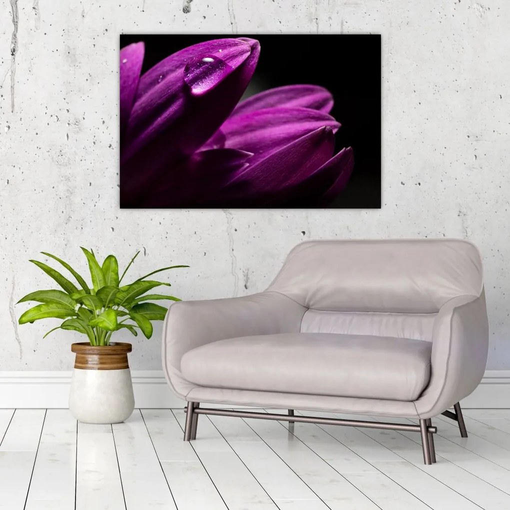 Tablou - Picătura de apă (90x60 cm)