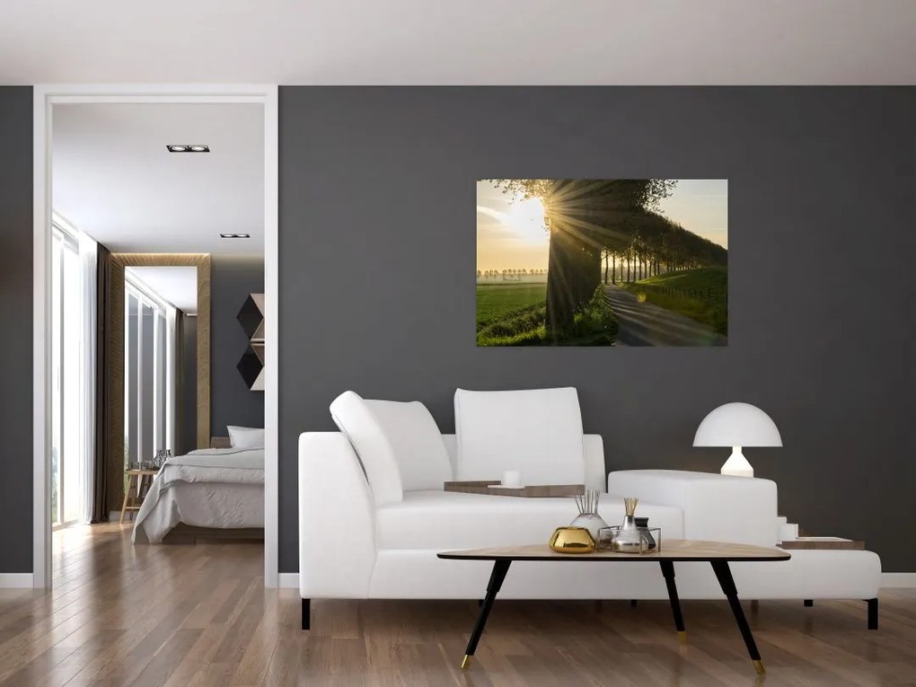 Tablou cu alee (90x60 cm)
