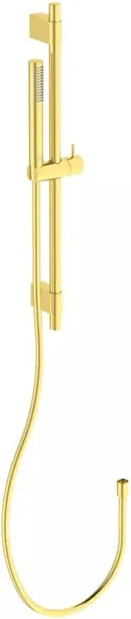 Set de dus cu bara 60 cm Ideal Standard IdealRain auriu periat 1 functie