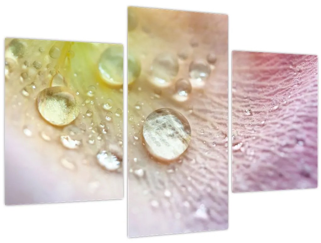 Tablou - Picături (90x60 cm)