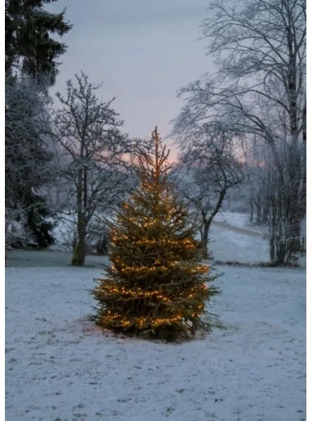 Eglo 410817 - Instalație luminoasă de Crăciun LED pentru exterior GOLDEN, 1200 LED, 29 m, IP44, alb cald