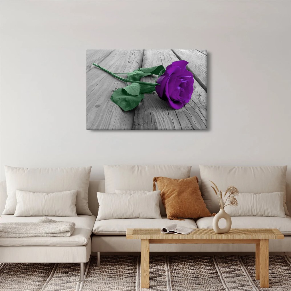 Tablou - Trandafir violet cu tulpina verde (90x60 cm)