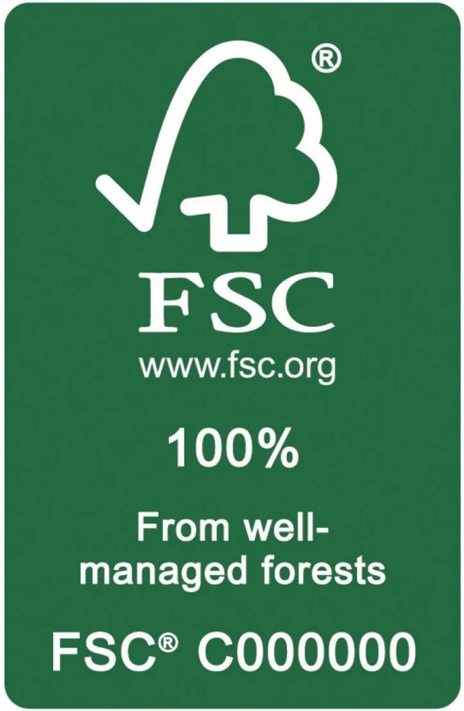 Pat pentru copii cu barieră Mila Classic  I 140x70 cm