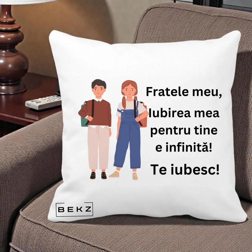 Cadou pentru Frate - Perna Personalizata Fratele Meu Te Iubesc Elevi Ilustratie Colorata, 40x40 cm, Alba Mata, Husa Detasabila, Perna Inclusa, BEKZ®