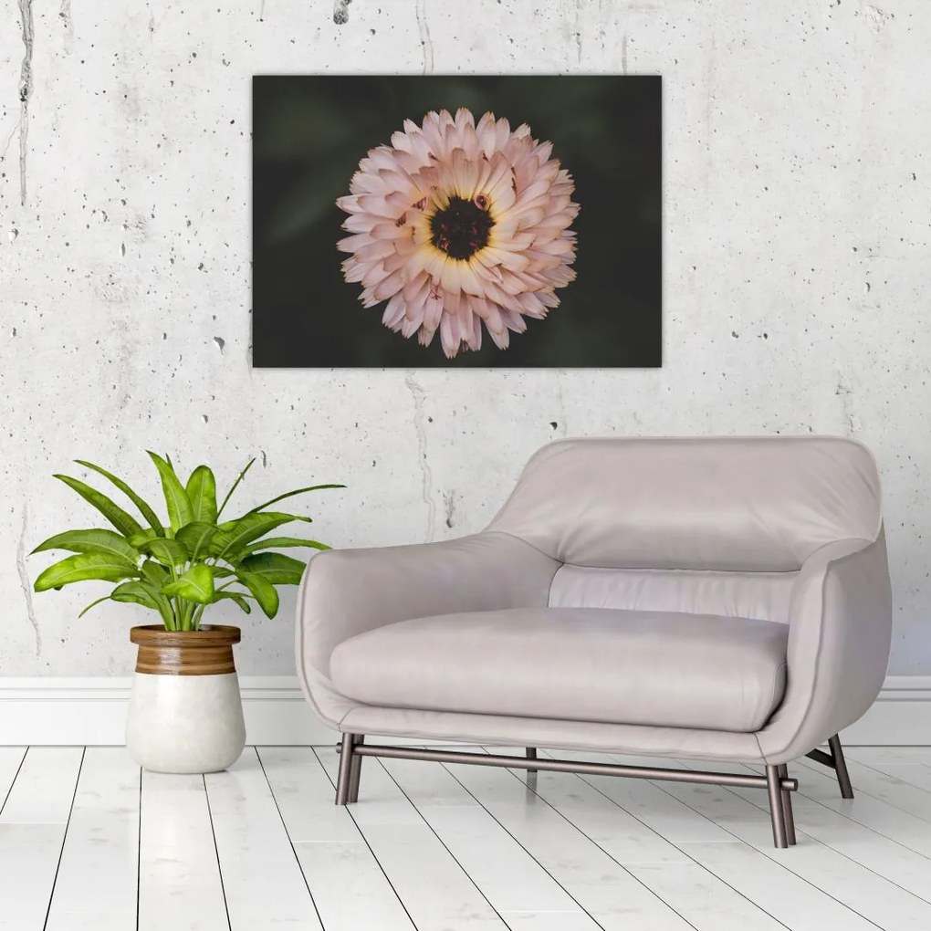 Tablou cu floare portocalie (70x50 cm)