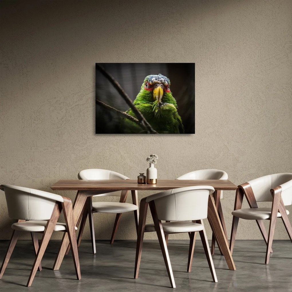 Tablou pe sticlă cu papagal (70x50 cm)