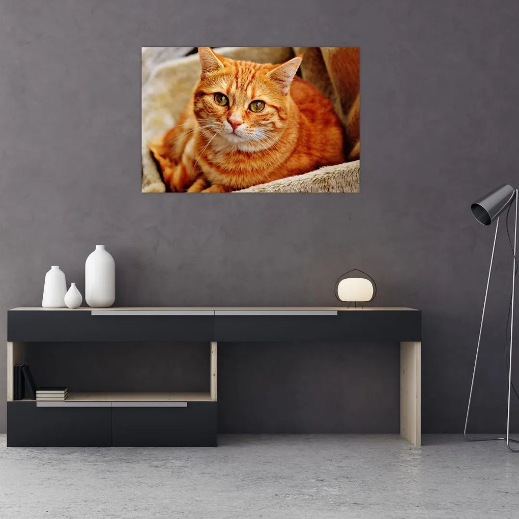 Tablou - Pisica tolenită (90x60 cm)