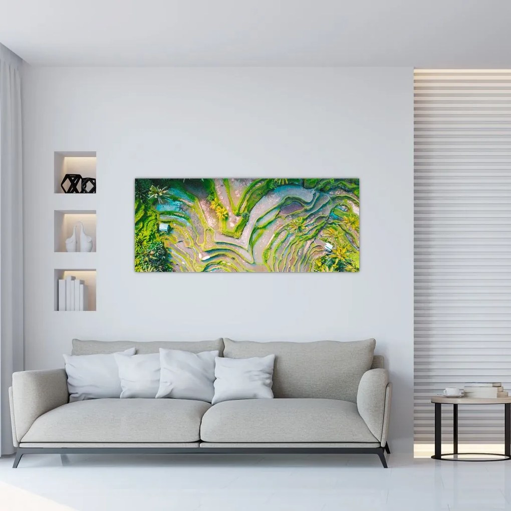 Tablou cu lanuri de orez din privire de sus (120x50 cm)
