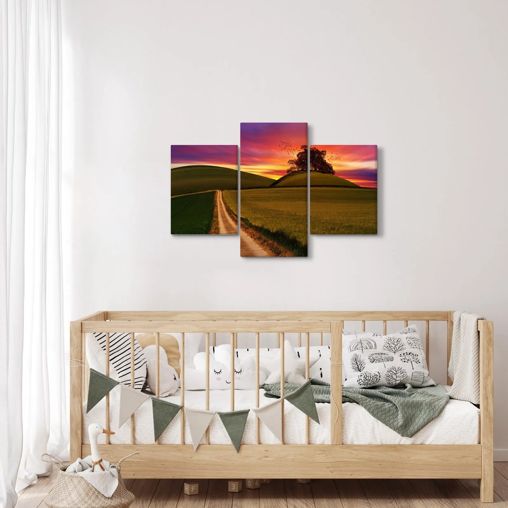 Tablou câmpului cu apus de soare (90x60 cm)