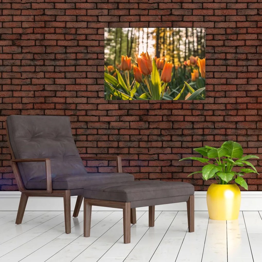 Tablou pe sticlă - florile lalelelor (70x50 cm)