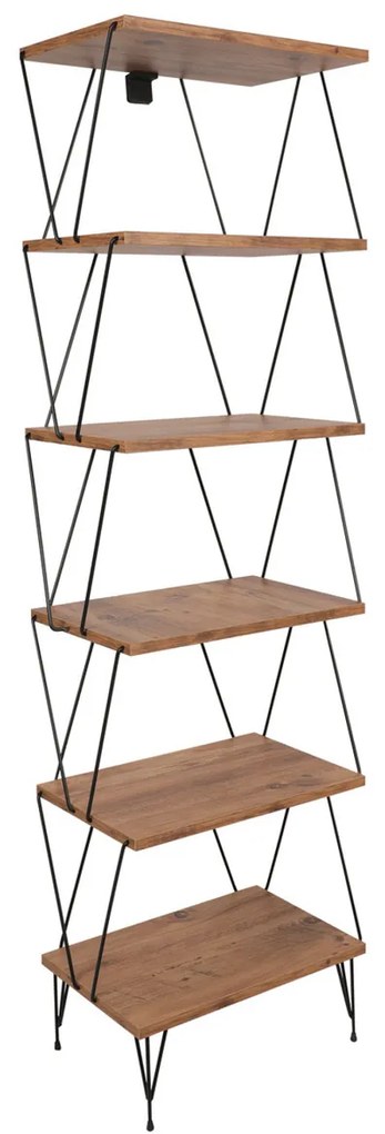 Biblioteca Balaban Pine