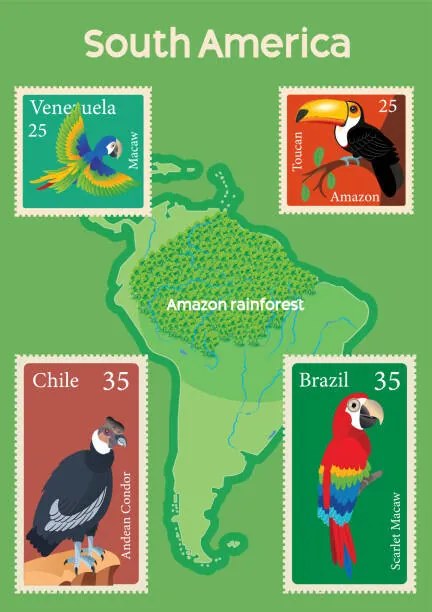 Ilustrație South America Map and Tropical Birds Stamps, drmakkoy