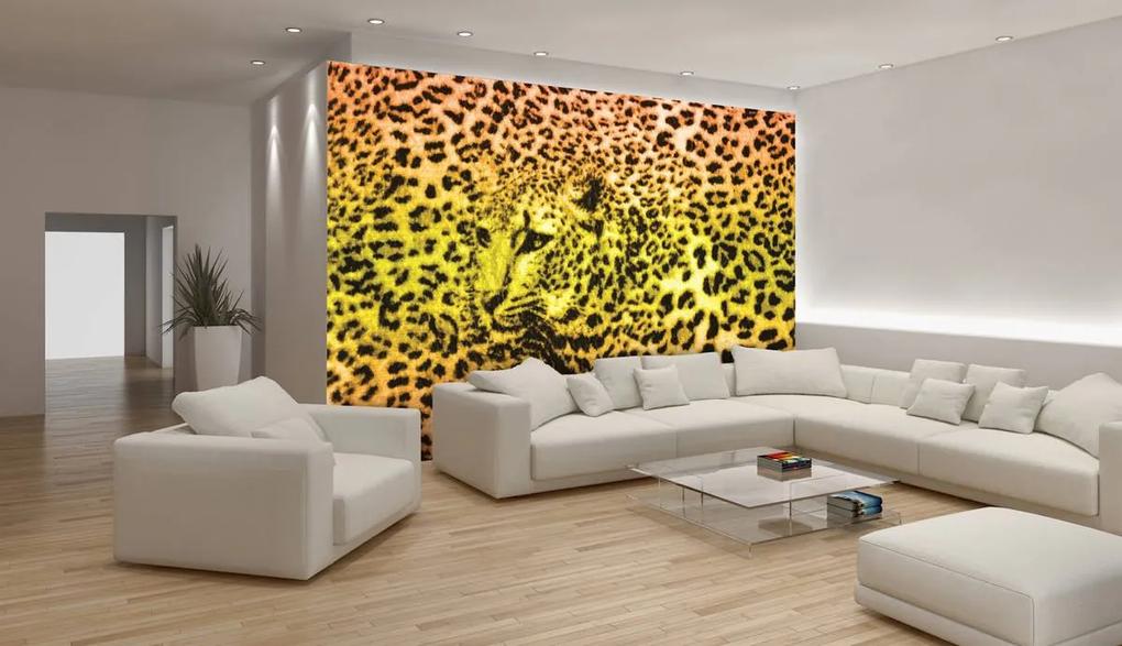 Fototapet - Gepard leopard animal (152,5x104 cm), în 8 de alte dimensiuni noi
