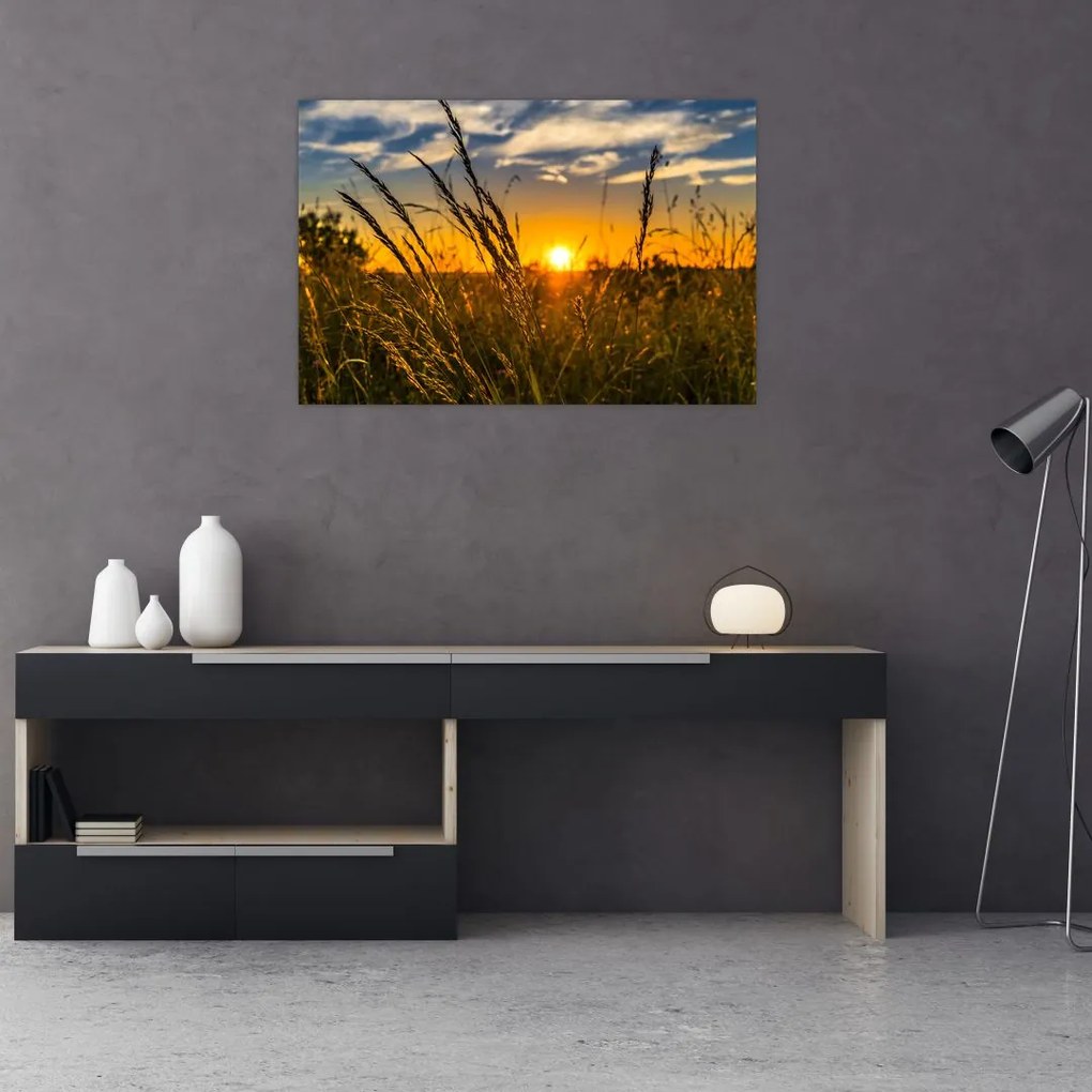 Tablou cu câmp în apus de soare (90x60 cm)