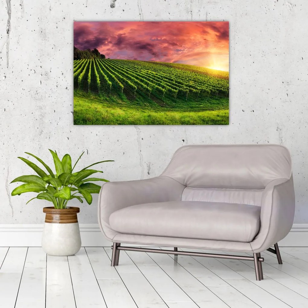 Tablou cu vie cu cerul color (90x60 cm)