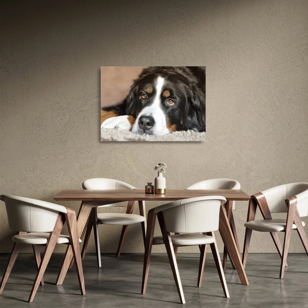 Tablou pe sticlă cu câine (70x50 cm)