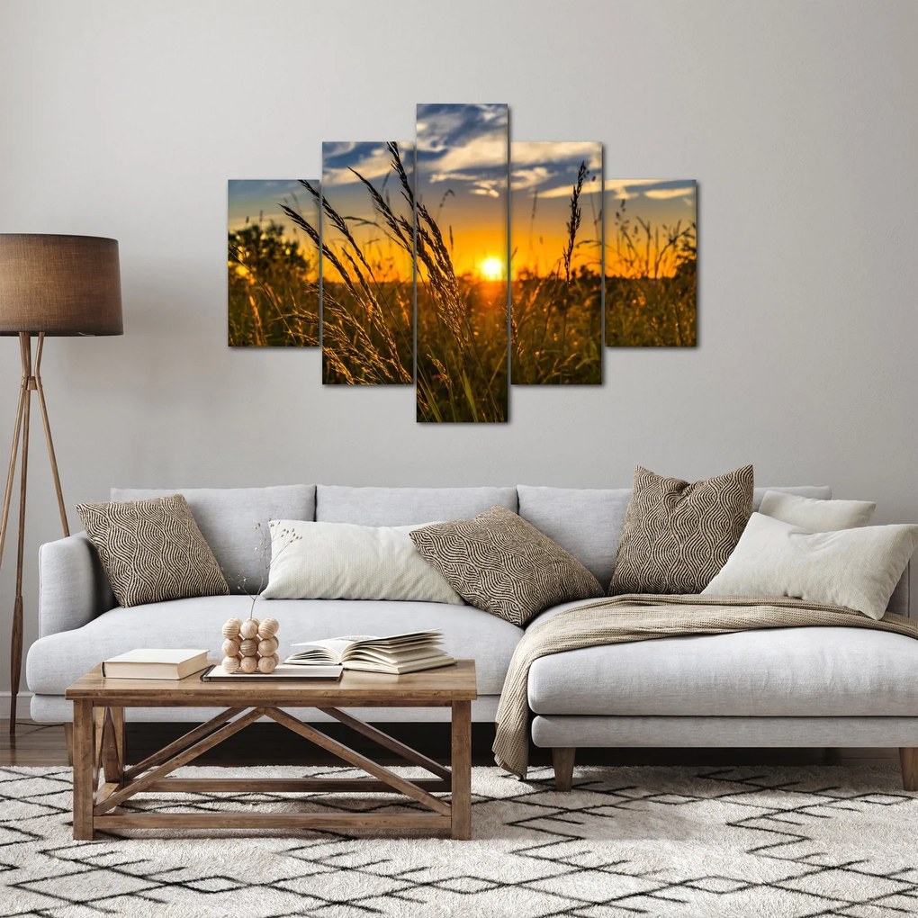 Tablou cu câmp în apus de soare (150x105 cm)