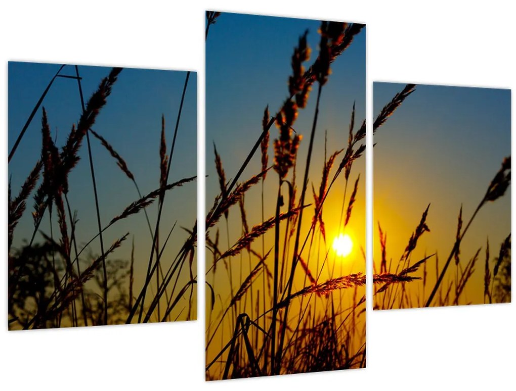 Tablou - Apus de soare pe pajiște (90x60 cm)