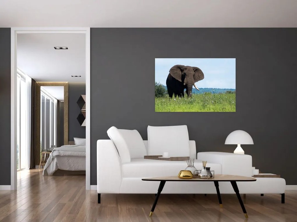 Tablou cu elefant (90x60 cm)