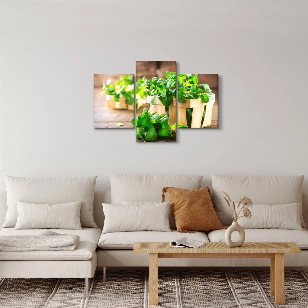 Tablou cu menta proaspătă (90x60 cm)