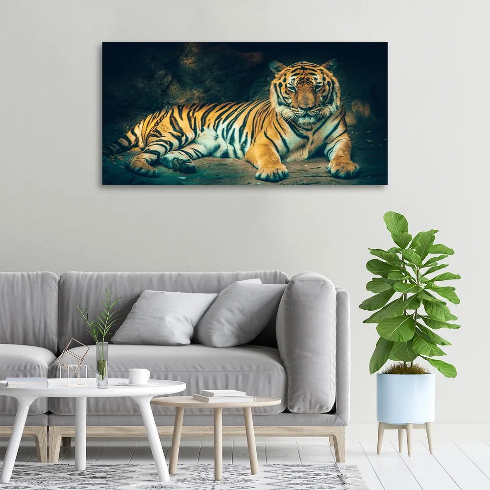 Print pe canvas Tiger cave
